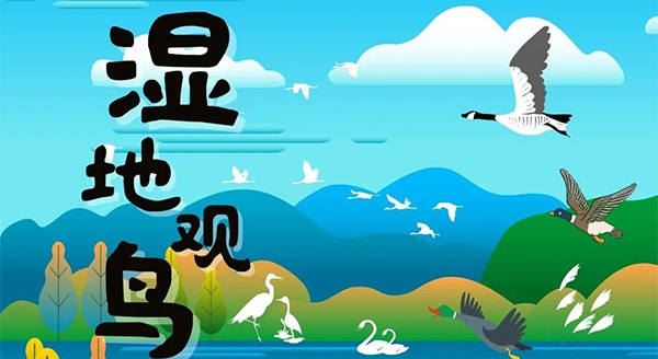 【獨(dú)立觀鳥一日營】走進(jìn)白馬湖濕地，一起來探尋鳥兒的秘密
